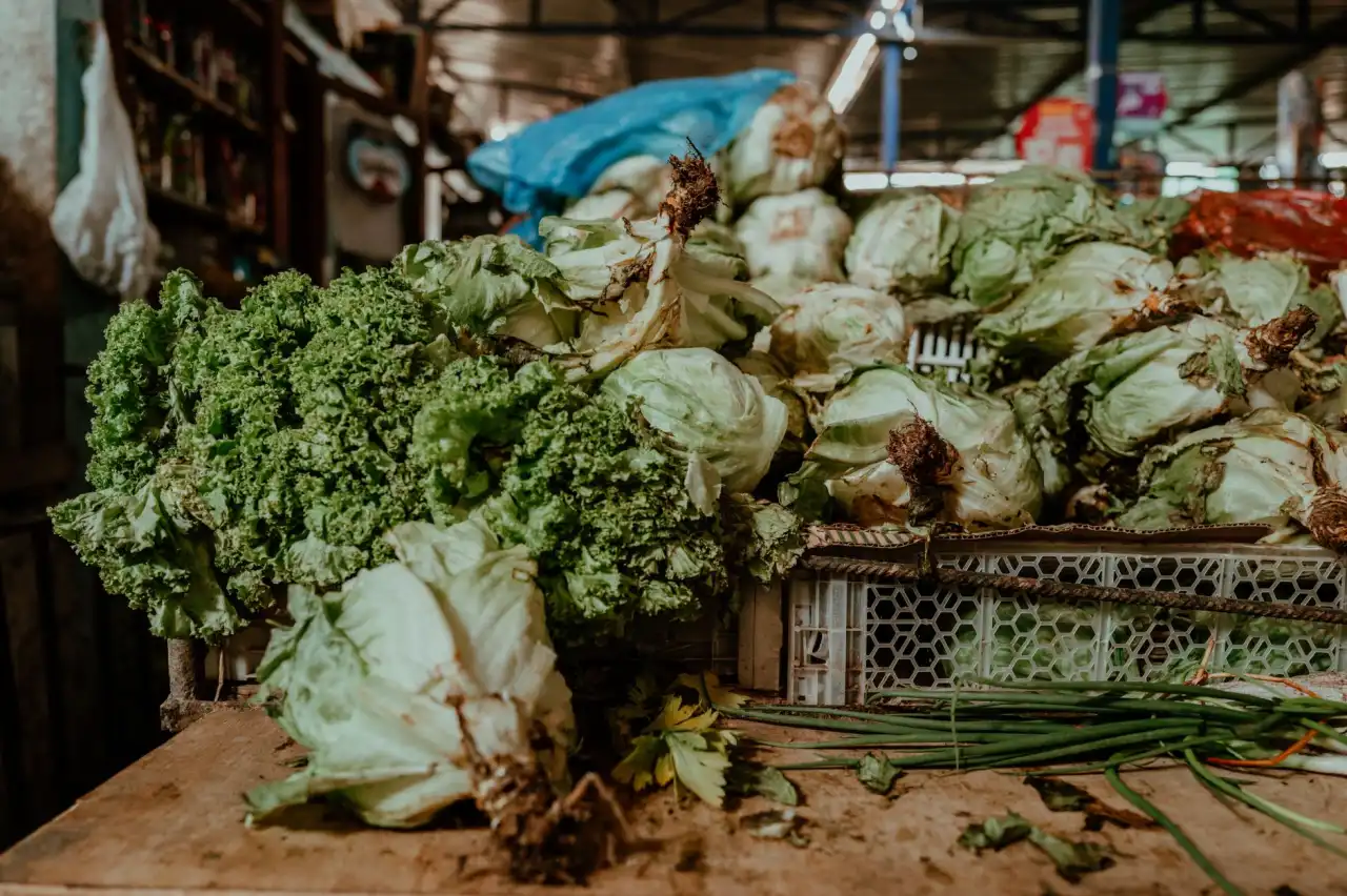 企事业单位食堂承包服务中的食品安全管控体系建设要点